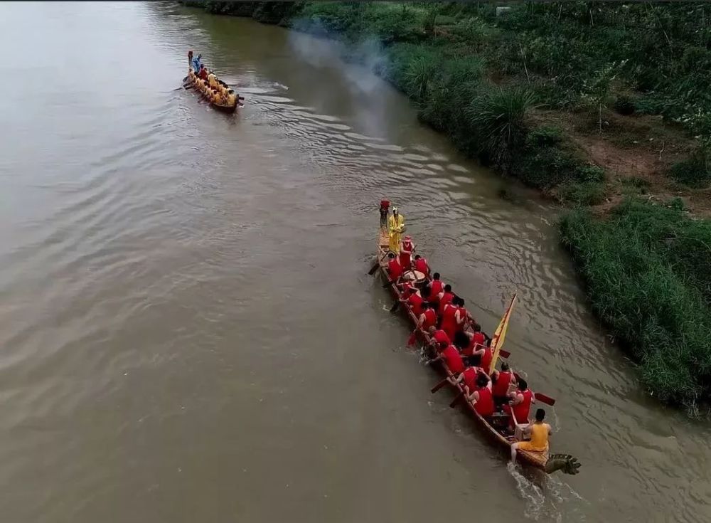 端午節賽龍舟吃粽子,河源的端午這樣過