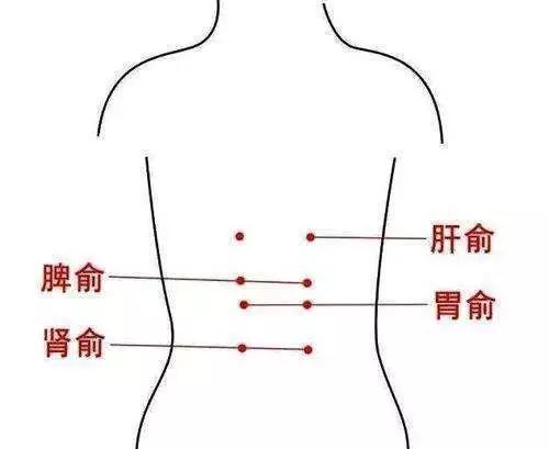 中脘穴 【定位】前正中線上,臍上4寸,或臍與胸劍聯合連線的中點處.