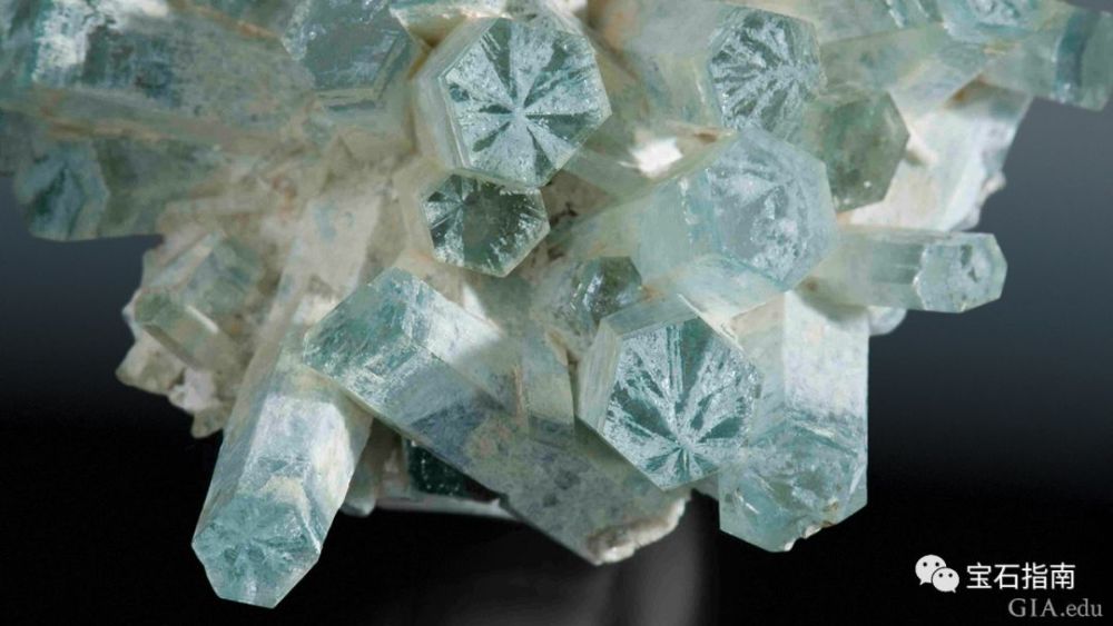 52 毫米宽的海蓝宝石群簇(绿柱石群)产自纳米比亚,其中有一些晶体的