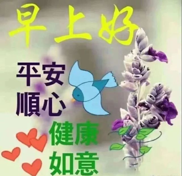 6月9日最新版早上好问候语图片带字 早晨好问候暖心祝福图片