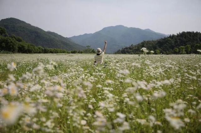 另外三清園內還有 國家登山健身步道,楊家塢水庫等景點.