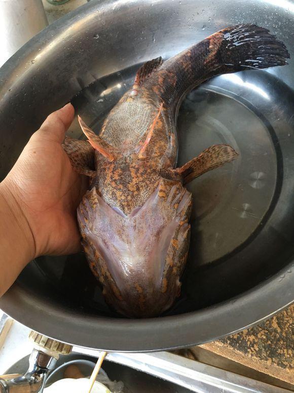 汉江流域现大嘴鱼吃鱼吃虾洪水冲来的生态杀手