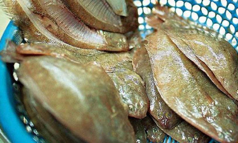 汕尾有种鱼被称作"地宝鱼"当地人把它做成鱼干,外地人没吃过