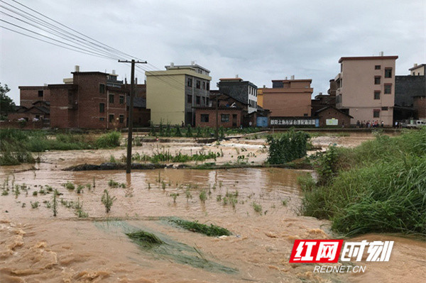 解读房产市场的风向标——新田房产网