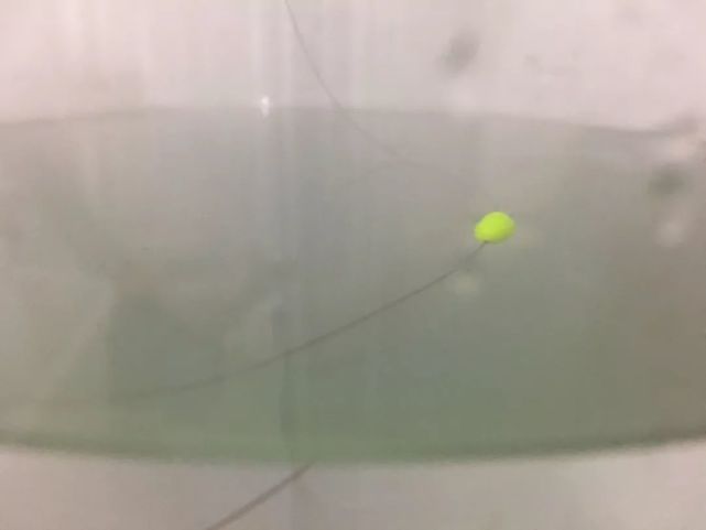 传统钓七星漂的调漂方法知多少?这里有最简单