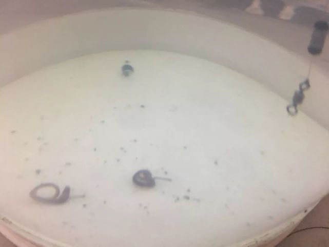 传统钓七星漂的调漂方法知多少?这里有最简单