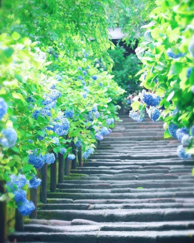 腾讯内容开放平台