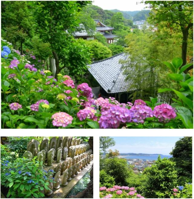 腾讯内容开放平台