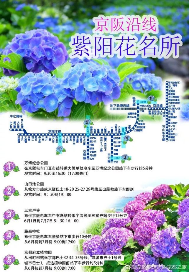 图解种草 19日本紫阳花9大观赏地推荐 腾讯网