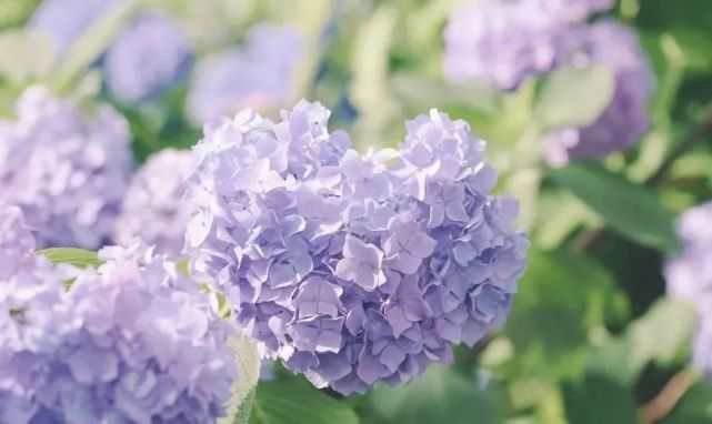 腾讯内容开放平台