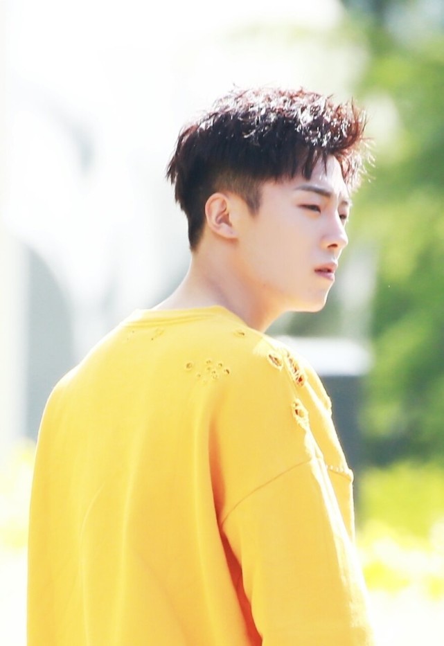 高嘉朗后援会给赵磊投票?出乱子了,粉丝:你还