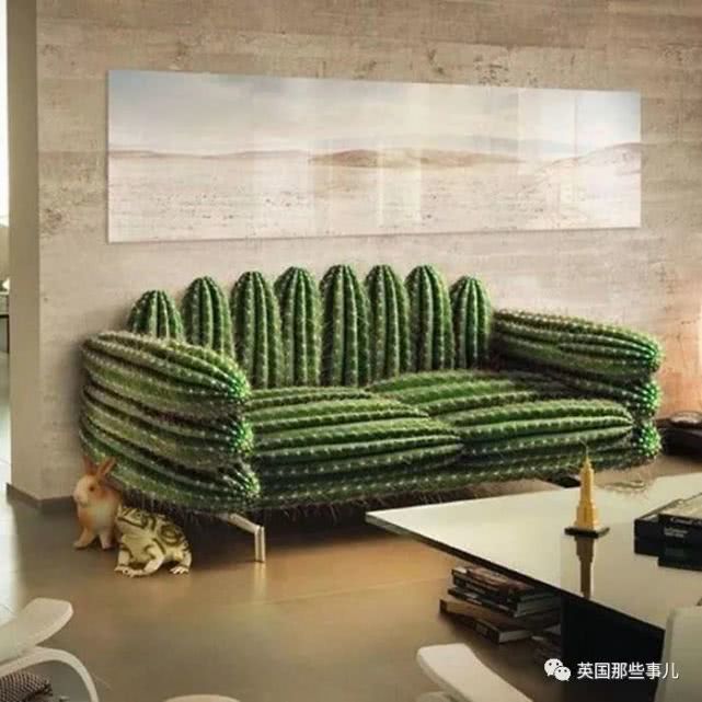 仙人掌沙发气球灯奇妙家具让你大开眼界图