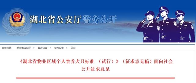 湖北最严禁犬令来了！这35种狗狗都在名单上-第1张图片-大千世界