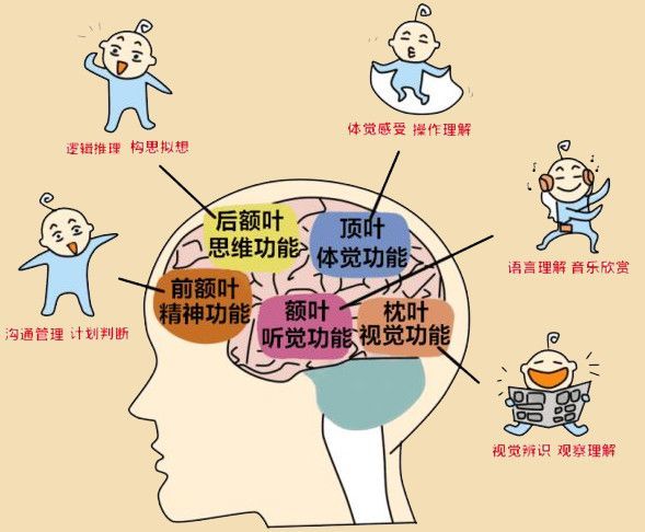 5岁女娃挑战"最强大脑",算数比计算器快10倍,6岁前孩子一定要这样培养