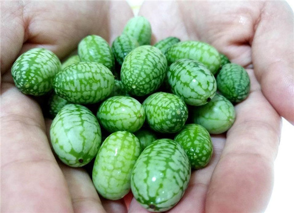 美国有拇指西瓜,日本有方形西瓜,中国这西瓜切开有惊喜