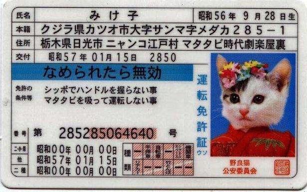 在日本想考摩托车驾照有多难 11年平均要考29次才能拿证