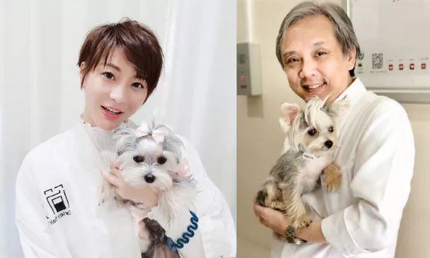 香港导演陈嘉上承认婚讯,两人相差30岁,前妻是著名财经主持人