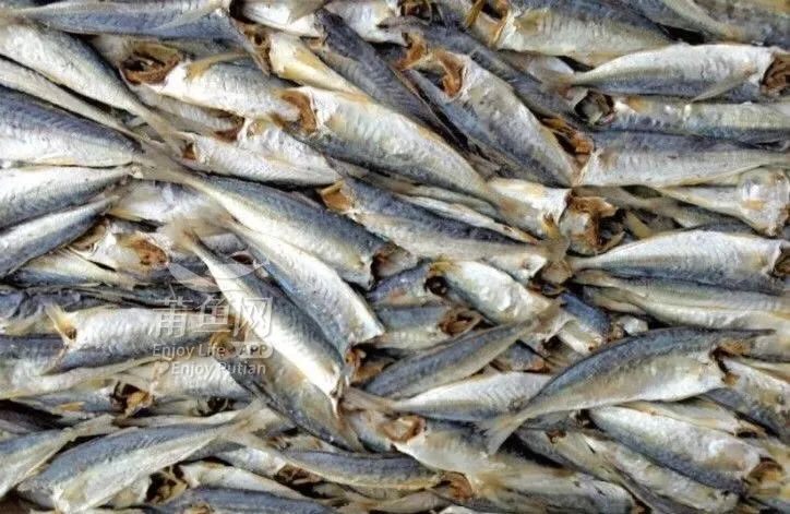 莆田这种鱼越脏越好吃被当做餐桌上的宝