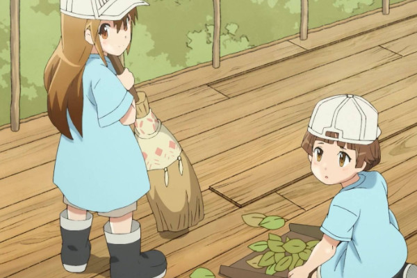 日本动漫有多疯狂 细胞变成人物不算什么 当她一出场谁能顶得住 腾讯网