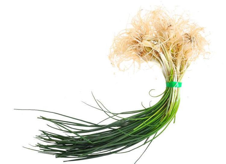 荞苗菜式新做法,快来做下吧,在家开启你舌尖之旅