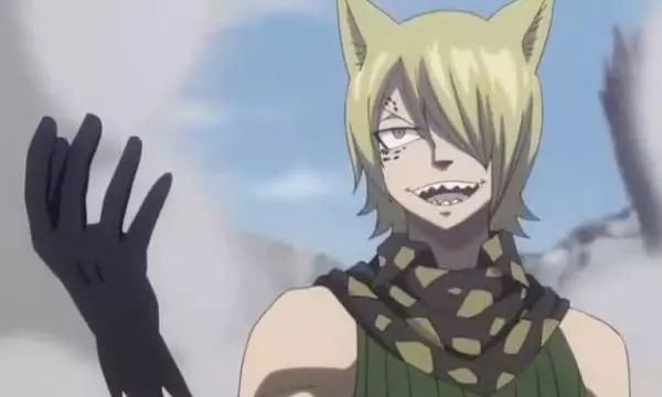 狼人,狂战士,动漫,犬夜叉,吸血鬼,妖精的尾巴,一拳超人,狼的孩子雨和