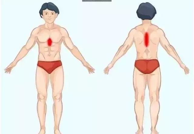 胃出现问题,中腹部会疼痛,背部同一位置也会疼痛.
