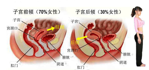 年轻女孩子睡觉 为什么不要总是仰卧着睡觉 腾讯网