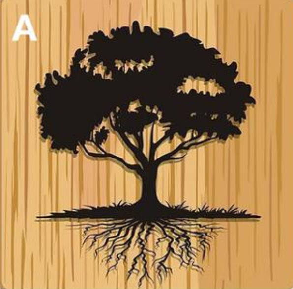 心理学测试:凭直觉找出你喜欢的一棵树,测你心灵上的漏洞是什么?