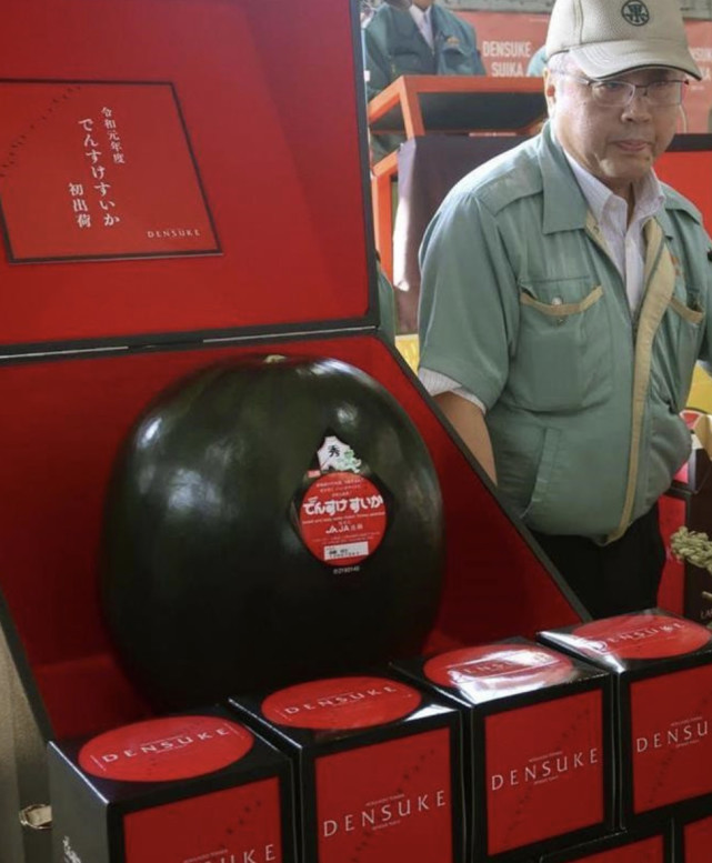 日本水果卖出天价 一只西瓜4 8万元 西瓜 北海道 日本