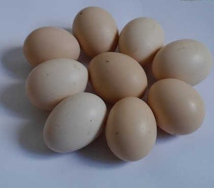 641