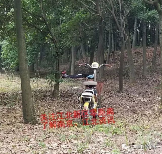 南京一男子树林内上吊自杀 警方已介入调查_腾讯新闻