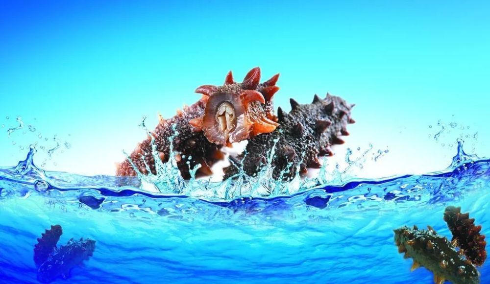 西安美食图鉴——"烀"之即出"压轴"菜:海参烀蹄子