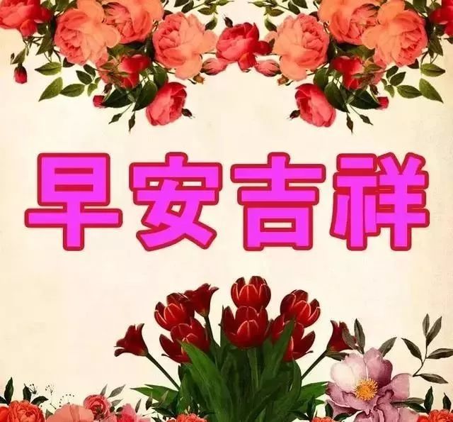 週二問候大家早上好的陽光暖心祝福語,漂亮的早上好動態圖片