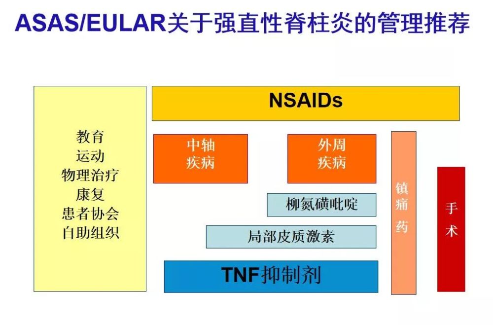 301医院王炎焱教授直播回顾:如何认识强直性脊柱炎!
