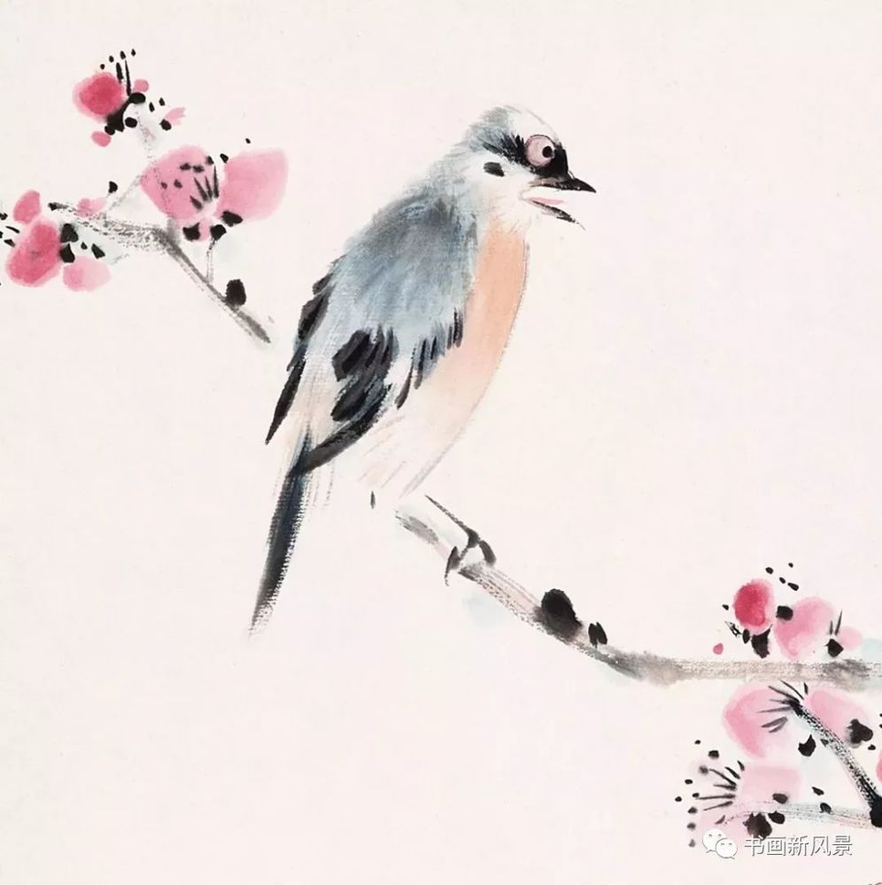 这位大师画小鸟,真萌!