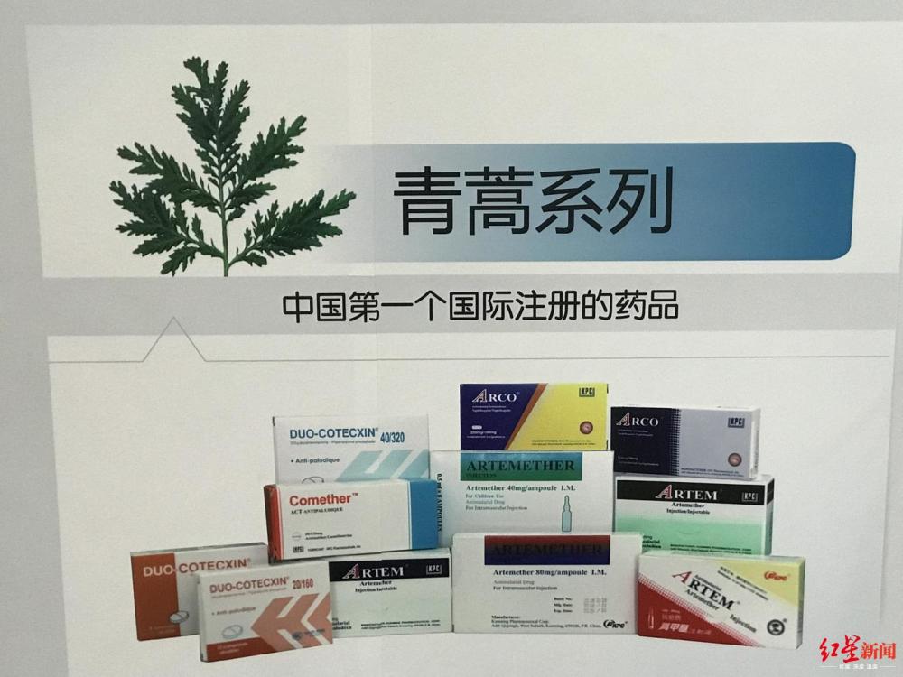 昆药集团谈与屠呦呦合作：我们是龙头企业，不需要借助什么