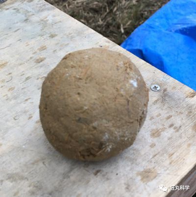 但在他盘来盘去之后,原本灰头土脸的小泥球,竟然可以华丽成这个样子