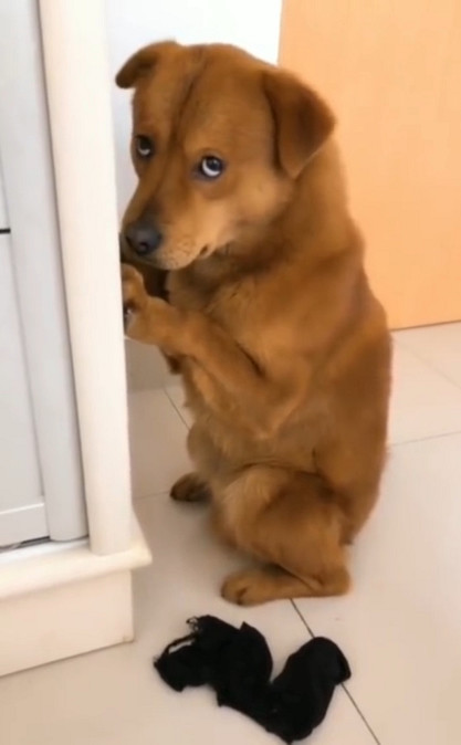 腾讯内容开放平台