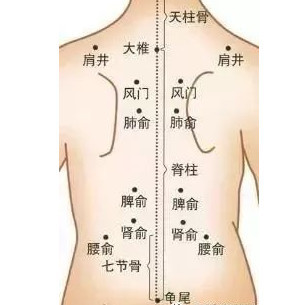 十个孩子九个脾虚,体型瘦小,脾胃虚弱都是运化出了问题!