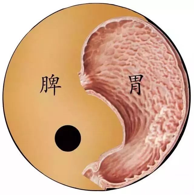 孩子脾胃不和 太影响健康了 不吃药也能调理好的秘密 在这里