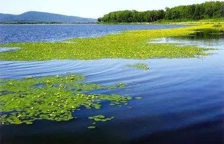 道德经智慧抱一与生命的和谐