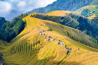 龍脊梯田,旅遊