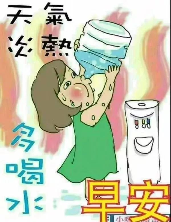 超温馨早安祝福语表情表情图片带字,清晨暖心问候早安祝福语送大家