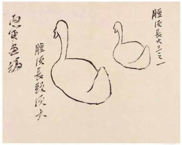 大师是这样炼成的齐白石画稿欣赏