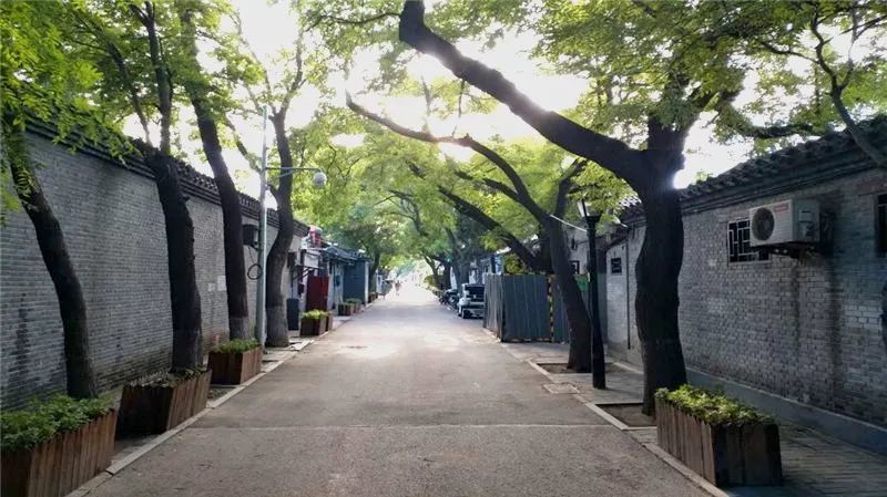 全息透视北京朝阳"三治三结合"社区治理模式