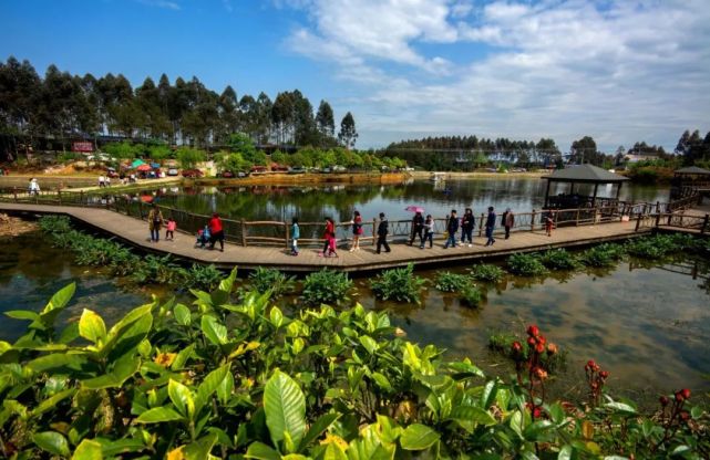 首届"最美农家乐","最佳乡村酒店"入选名单出炉!