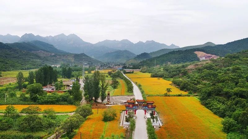 待疫情结束后就来秦皇岛,养心,养眼,更养人