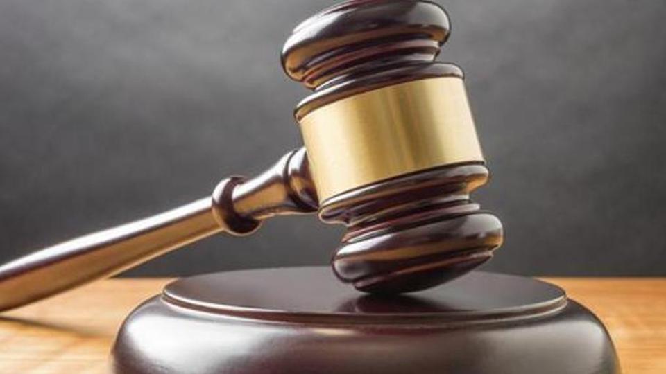 布丽奇特|夫妇在野外扎帐篷露营，醒来发现一头狮子正在闻他们