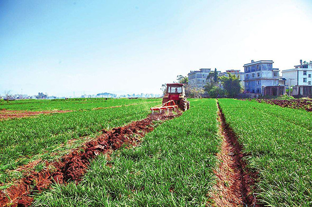 3000万亩农田轮作休耕,农民收入如何保障?休耕补贴有多少