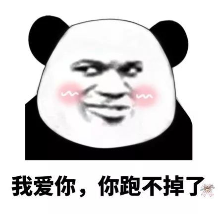 搞笑熊猫头斗图表情包,我爱你,你跑不掉了哪